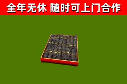 静乐回收海参